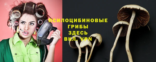 spice Богородицк