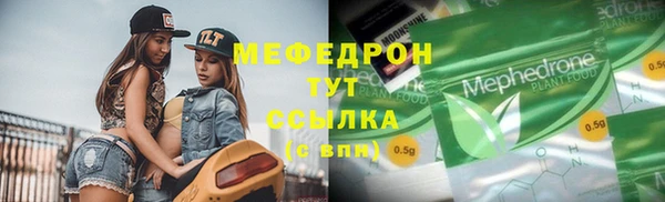 spice Богородицк