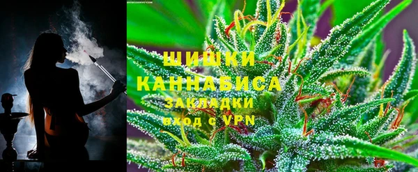 spice Богородицк