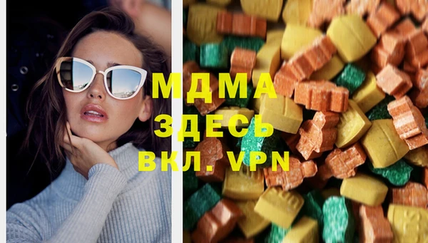 spice Богородицк