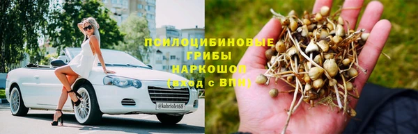 прущие крисы Богородск