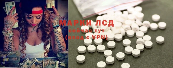 spice Богородицк