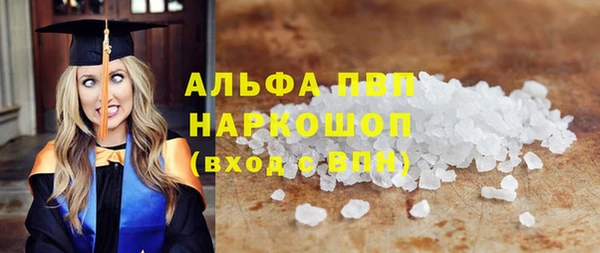 spice Богородицк
